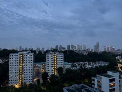 RESIDENCES AT EMERALD HILL (D9), Apartment #595853121